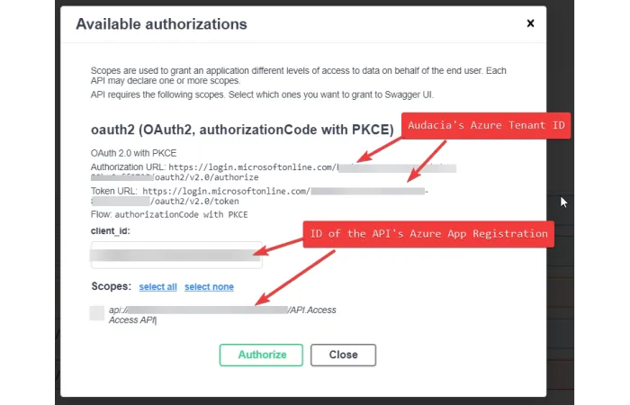 Screengrab of scwagger authorisation